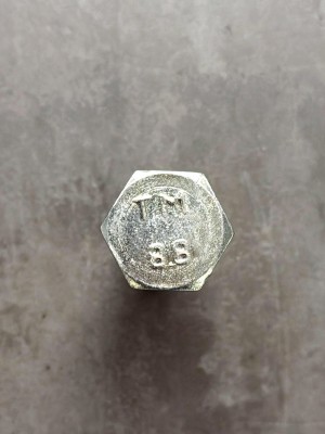 Болт М20х100Х1,5 1/59891/21